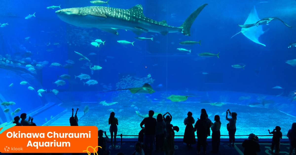 Klook Okinawa Multi Attractions Pass [Bundle & save!] - Klook